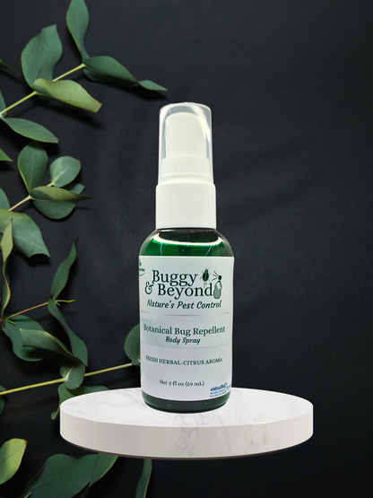 Buggy & Beyond Collection