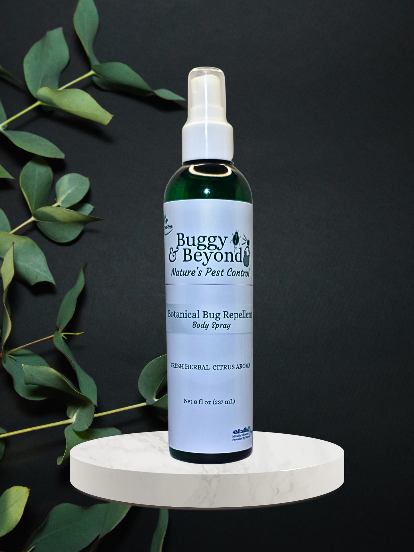 Buggy & Beyond Collection