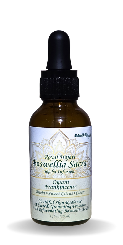 Sacred Frankincense Resin Infusion - 1oz