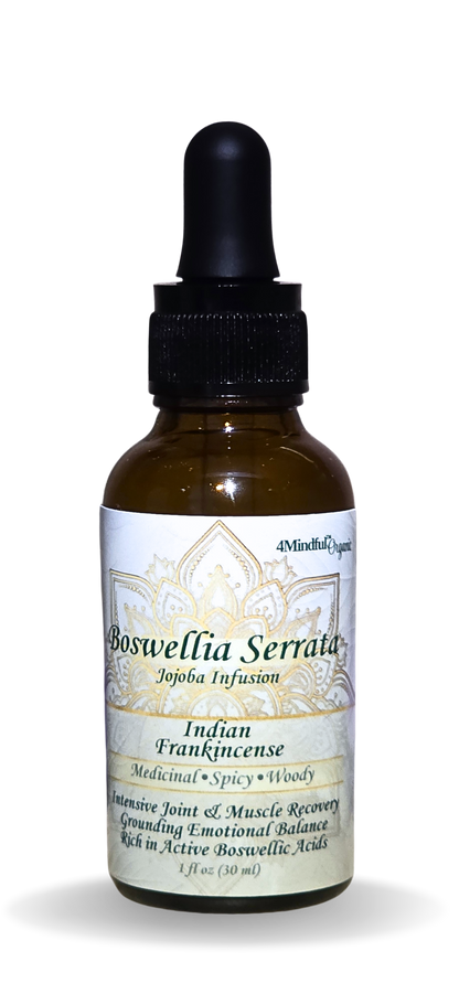 Sacred Frankincense Resin Infusion - 1oz